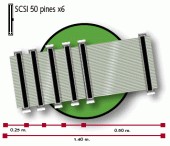 CABLE PLANO PARA SCSI DE 50 PINES 6 CONECTORES