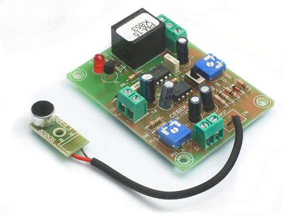 PM-15 VOX CONTROL TEMPORIZADO CON MICROFONO 12V CEBEK