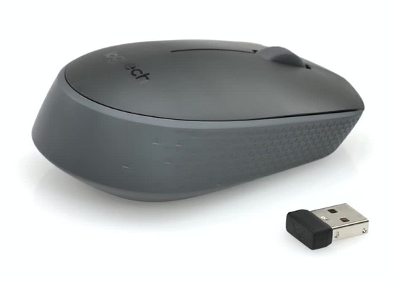 RATON WIRELESS LOGITECH M171