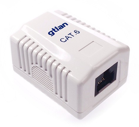 BASE SUPERFICIE RJ45 UTP CAT6